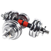 中国驻英国文化参赞谈艺术团国外“镀金”